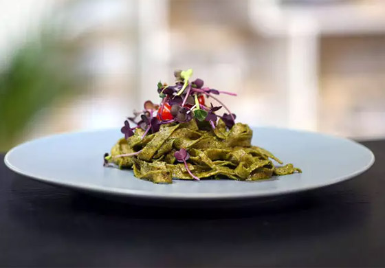 أول مطعم يقدم وجبات من الحشرات فقط في جنوب أفريقيا! فيديو وصور صورة رقم 15