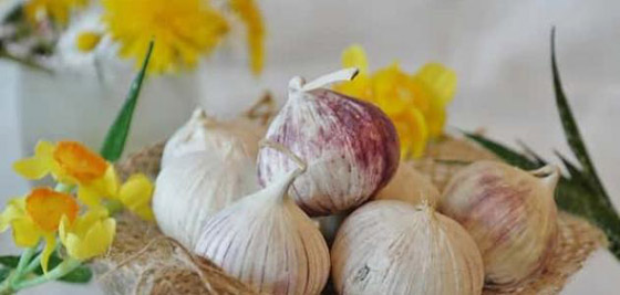 طرق بسيطة تحد من خطر الإصابة بالسرطان صورة رقم 9