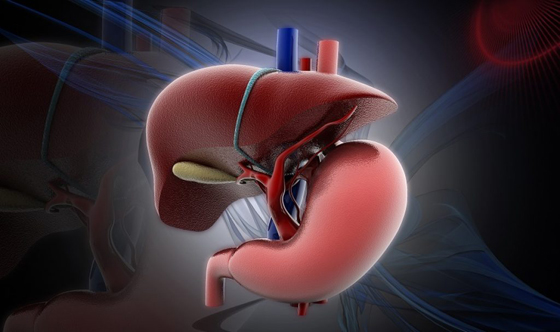 أطعمة ومشروبات مهمة لصحة الكبد صورة رقم 9 أطعمة ومشروبات مهمة لصحة الكبد صورة رقم 9