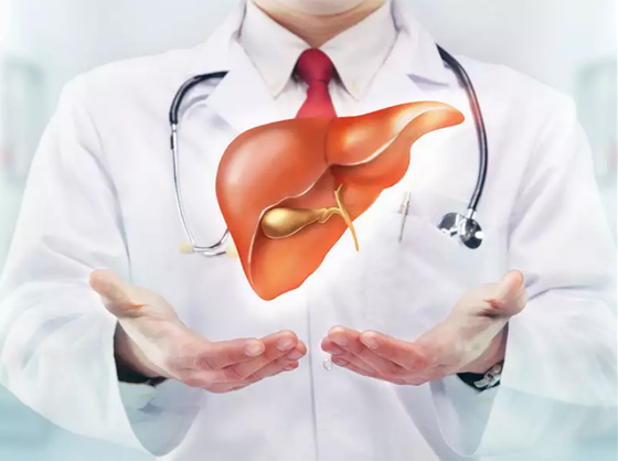 أطعمة ومشروبات مهمة لصحة الكبد صورة رقم 12 أطعمة ومشروبات مهمة لصحة الكبد صورة رقم 12