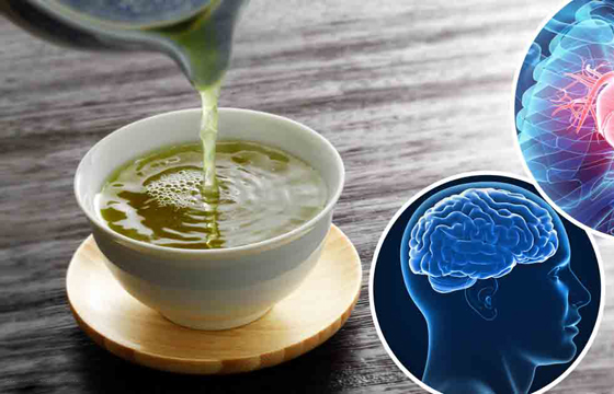 الشاي وقدرات الدماغ.. 