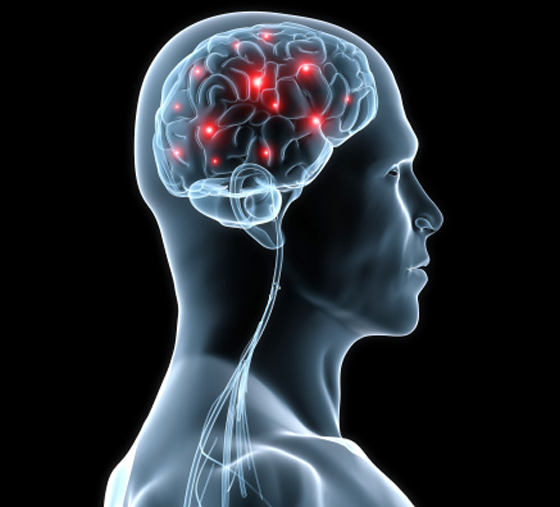 10 أشياء تساهم في تعزيز نمو الخلايا العصبية وتحسين صحة الدماغ صورة رقم 15