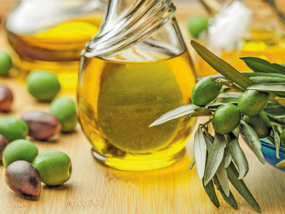 لعقل صحي ونشيط.. ما الأطعمة الواجب تناولها؟ صورة رقم 3 لعقل صحي ونشيط.. ما الأطعمة الواجب تناولها؟ صورة رقم 3