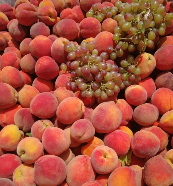 لعقل صحي ونشيط.. ما الأطعمة الواجب تناولها؟ صورة رقم 6 لعقل صحي ونشيط.. ما الأطعمة الواجب تناولها؟ صورة رقم 6