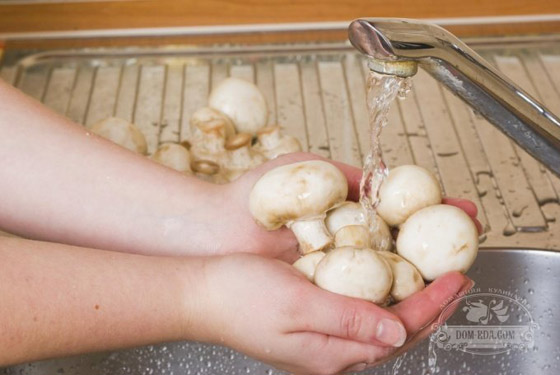  اللحوم والبيض 