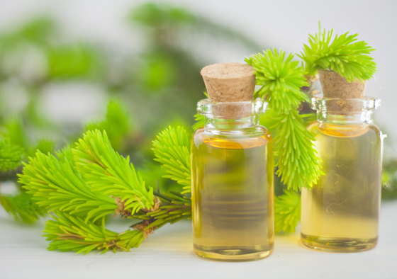 زيت شجرة الشاي.. فوائد من الرأس حتى القدمين صورة رقم 7