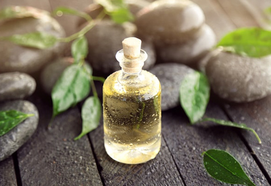 زيت شجرة الشاي.. فوائد من الرأس حتى القدمين صورة رقم 8