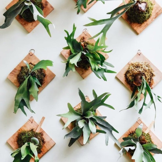 10 أفكار لديكور الجدران الحديثة صورة رقم 10