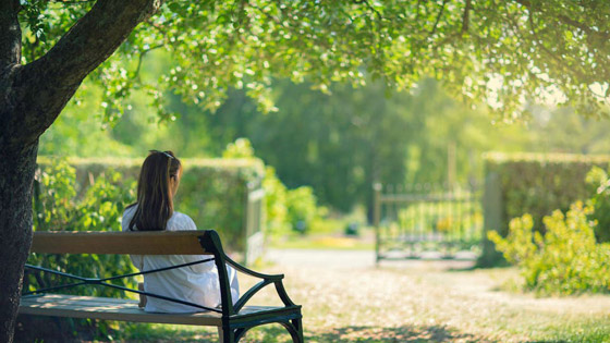 العيش وسط مساحات خضراء.. لصحة أفضل صورة رقم 1