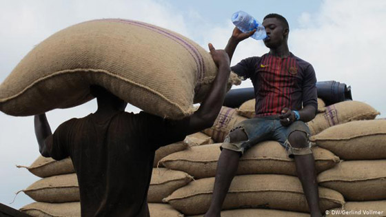 اليوم العالمي للشوكولاتة: الكاكاو المجبول بالاستغلال والفقر والألم صورة رقم 3
