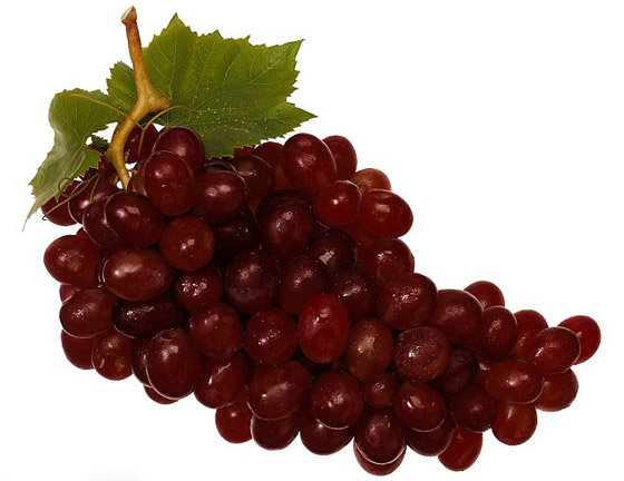 بالصور: إليكم أغلى عنب في العالم.. 910 دولار للعنقود الواحد! صورة رقم 4