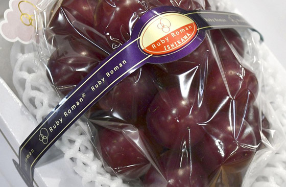 بالصور: إليكم أغلى عنب في العالم.. 910 دولار للعنقود الواحد! صورة رقم 6