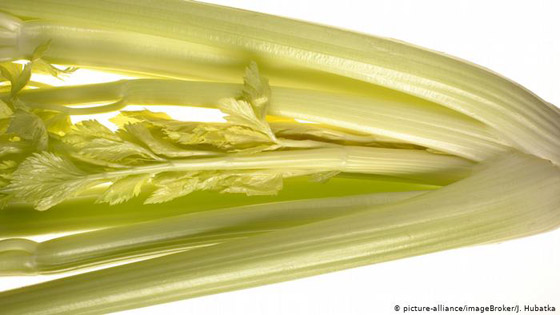 أطعمة تخلصكم من سموم الجسم.. تعرفوا اليها صورة رقم 4