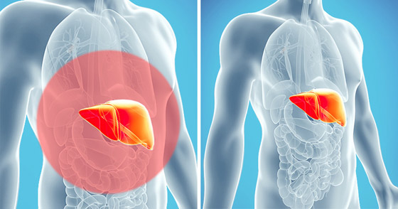 10 علامات تؤكد أن الجسم مغمور بالسموم صورة رقم 11