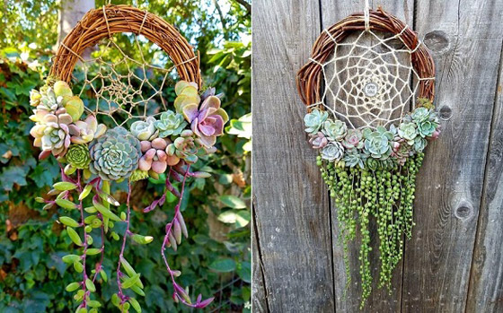 تشكيلات مدهشة للنباتات في المنزل صورة رقم 2