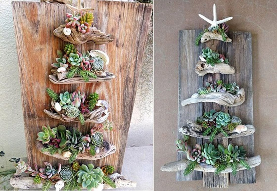 تشكيلات مدهشة للنباتات في المنزل صورة رقم 3