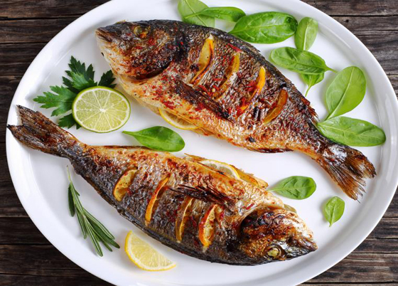 هل تعلم.. الأسماك تقي الصغار من الإكزيما والربو صورة رقم 5