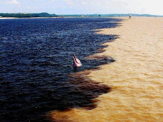 صورة رقم 12 - صور ساحرة تكشف عن بعض الأسرار حول العالم صورة رقم 12 - صور ساحرة تكشف عن بعض الأسرار حول العالم
