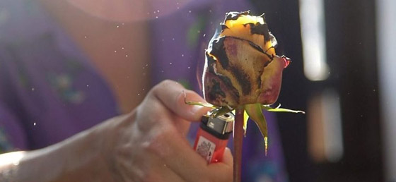 لو كان الألم ملموسا، فكيف يكون شكله؟ صورة رقم 1