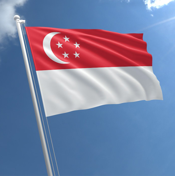 لمكافحة مرض السكري.. سنغافورة أول دولة في العالم تحظر إعلانات المشروبات المحلاة صورة رقم 2 لمكافحة مرض السكري.. سنغافورة أول دولة في العالم تحظر إعلانات المشروبات المحلاة صورة رقم 2