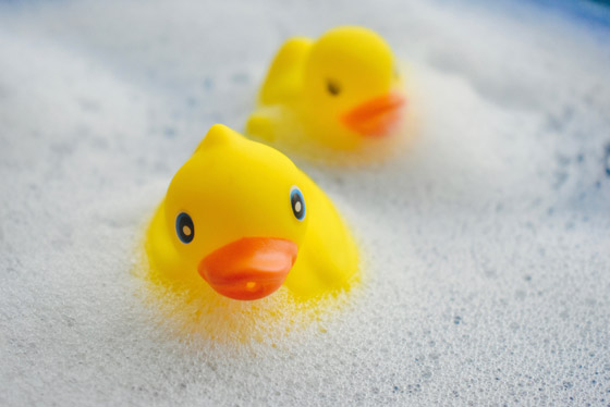 بطة الاستحمام الشهيرة.. 