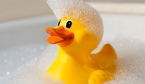 بطة الاستحمام الشهيرة.. 