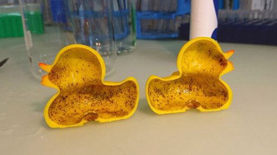 بطة الاستحمام الشهيرة.. 