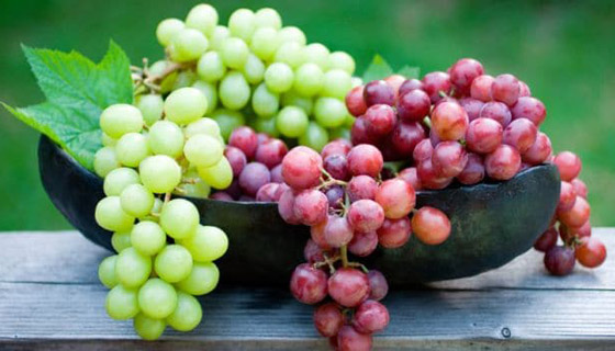 20 نوعا من الأطعمة تعتني ببشرتك وتجعلها خالية من الشوائب هذا الخريف صورة رقم 1 20 نوعا من الأطعمة تعتني ببشرتك وتجعلها خالية من الشوائب هذا الخريف صورة رقم 1