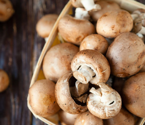 20 نوعا من الأطعمة تعتني ببشرتك وتجعلها خالية من الشوائب هذا الخريف صورة رقم 14 20 نوعا من الأطعمة تعتني ببشرتك وتجعلها خالية من الشوائب هذا الخريف صورة رقم 14