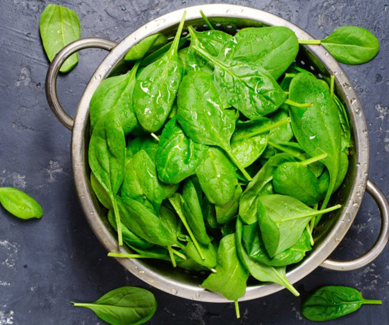 20 نوعا من الأطعمة تعتني ببشرتك وتجعلها خالية من الشوائب هذا الخريف صورة رقم 16 20 نوعا من الأطعمة تعتني ببشرتك وتجعلها خالية من الشوائب هذا الخريف صورة رقم 16