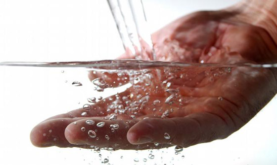 تعرفوا إلى أبرز أسباب انتشار الجراثيم (العدو الخفي) في الطعام والغذاء! صورة رقم 8 تعرفوا إلى أبرز أسباب انتشار الجراثيم (العدو الخفي) في الطعام والغذاء! صورة رقم 8