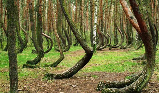    2 -   ..     ! 