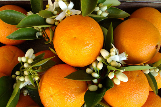 6 أطعمة غنية بفيتامين C عليك تناولها في الشتاء صورة رقم 1