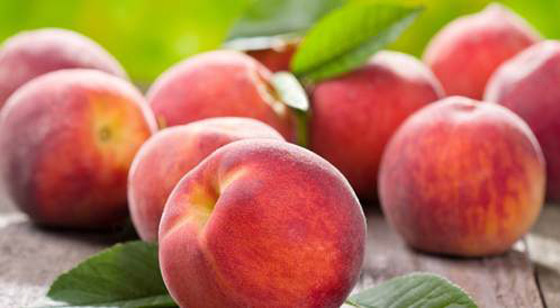 إليكم قائمة بفواكه لذيذة.. وحارقة للدهون أيضاً صورة رقم 4