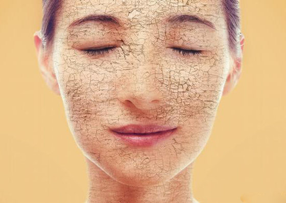 تصغر الإنسان.. 5 أعضاء في الجسم أصغر عمرا مما نتصور! صورة رقم 2