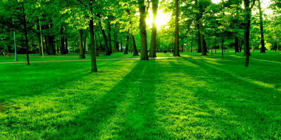 التعرض للخضار يساهم بمكافحة العادات الصحية السيئة.. إليكم كيف صورة رقم 4