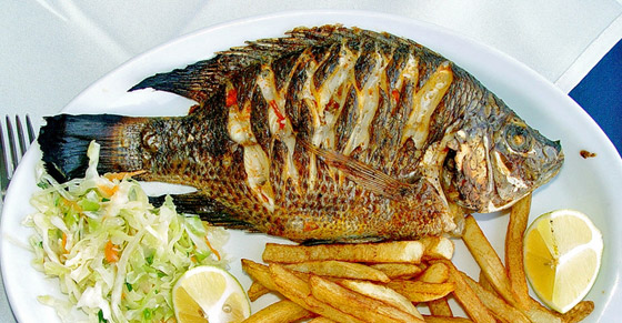 لأصحاب سن 30+.. 8 تحذيرات ونصائح للحفاظ على صحة جيدة صورة رقم 4 لأصحاب سن 30+.. 8 تحذيرات ونصائح للحفاظ على صحة جيدة صورة رقم 4