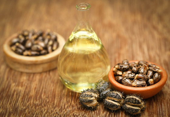 تعرفوا إلى الفوائد الطبية لزيت الخروع وأهم مشاكل الشعر التي يعالجها صورة رقم 2 تعرفوا إلى الفوائد الطبية لزيت الخروع وأهم مشاكل الشعر التي يعالجها صورة رقم 2