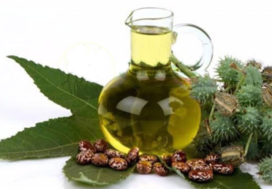 تعرفوا إلى الفوائد الطبية لزيت الخروع وأهم مشاكل الشعر التي يعالجها صورة رقم 10 تعرفوا إلى الفوائد الطبية لزيت الخروع وأهم مشاكل الشعر التي يعالجها صورة رقم 10