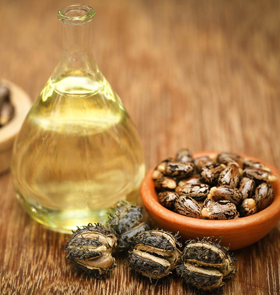 تعرفوا إلى الفوائد الطبية لزيت الخروع وأهم مشاكل الشعر التي يعالجها صورة رقم 7 تعرفوا إلى الفوائد الطبية لزيت الخروع وأهم مشاكل الشعر التي يعالجها صورة رقم 7