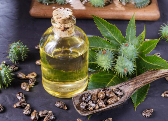 تعرفوا إلى الفوائد الطبية لزيت الخروع وأهم مشاكل الشعر التي يعالجها صورة رقم 6 تعرفوا إلى الفوائد الطبية لزيت الخروع وأهم مشاكل الشعر التي يعالجها صورة رقم 6