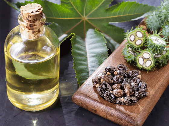 تعرفوا إلى الفوائد الطبية لزيت الخروع وأهم مشاكل الشعر التي يعالجها صورة رقم 4 تعرفوا إلى الفوائد الطبية لزيت الخروع وأهم مشاكل الشعر التي يعالجها صورة رقم 4