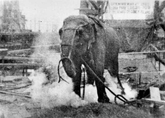  ���� ��� 1 - 5 ����� ����� ����� ����� ������