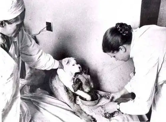  ���� ��� 4 - 5 ����� ����� ����� ����� ������