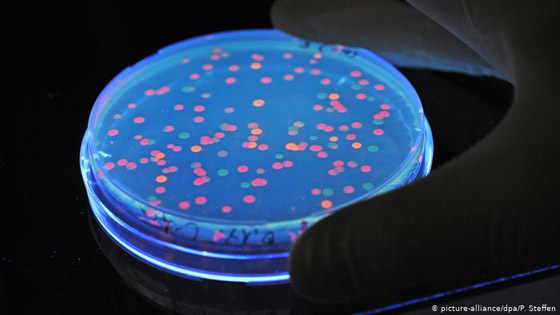 أبرز خمسة أسباب لانتشار الجراثيم في الغذاء!  صورة رقم 3