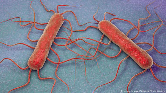 أبرز خمسة أسباب لانتشار الجراثيم في الغذاء!  صورة رقم 6