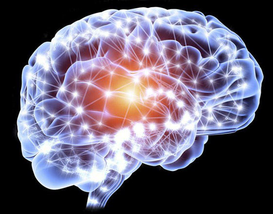 10 أشياء تساهم في تعزيز نمو الخلايا العصبية وتحسين صحة الدماغ صورة رقم 13