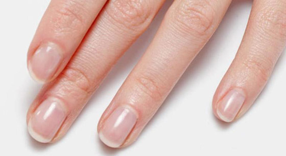 7 أنواع من الطعام تحافظ على جمال وصحة الأظافر صورة رقم 7