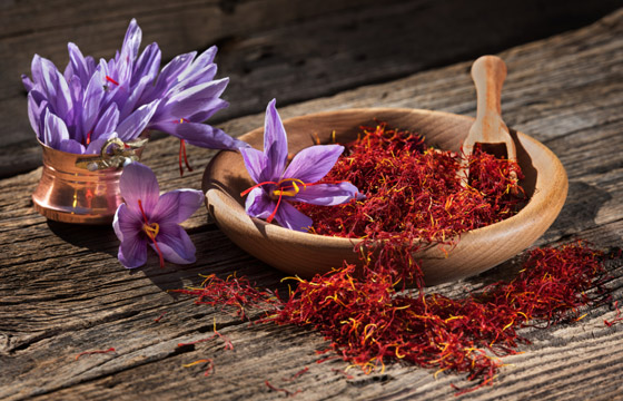 يُعتبر من أقدم وأغلى التوابل في العالم.. تعرفوا على فوائد الزعفران المدهشة صورة رقم 2 يُعتبر من أقدم وأغلى التوابل في العالم.. تعرفوا على فوائد الزعفران المدهشة صورة رقم 2