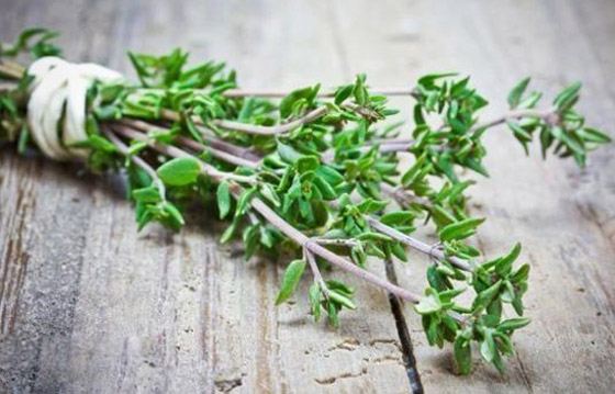 يُرافق زيت الزيتون ويُزيّن موائد الفطور.. ما هو أصل الزعتر؟ فيديو صورة رقم 9
